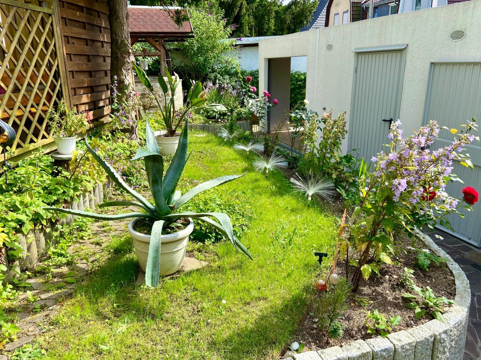Appartement Regenbergblick à Zella-Mehlis Extérieur photo